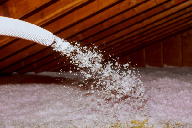 Professional Insulation Contractor in Havana, IL