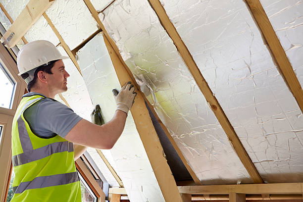 Best Geographic-Specific Insulation Services in Havana, IL